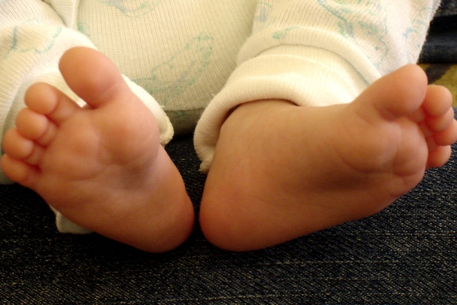 small-feet-1436227